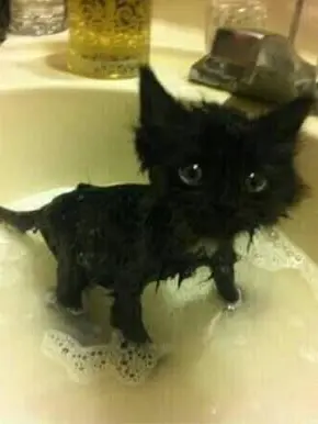 StuffyVomit2571의 뭔가대상이잘못된짝사랑