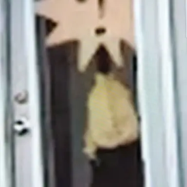 Profile image of ディスティトルド