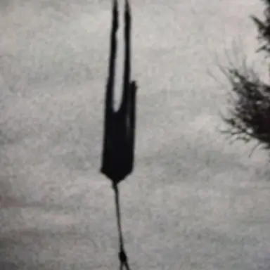 Profile image of デス