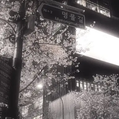 Profile image of 風雅