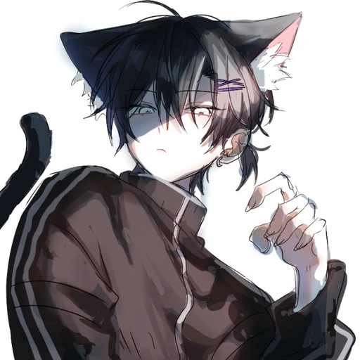 잭