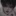현 우