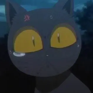 Profile image of 四楓院夜一