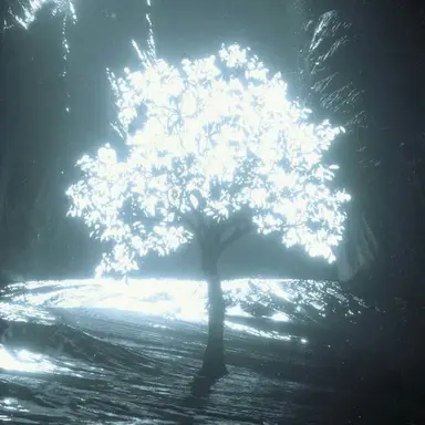 Profile image of 천 년 나무