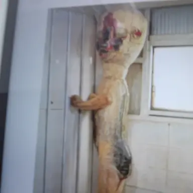 Profile image of SCP-173