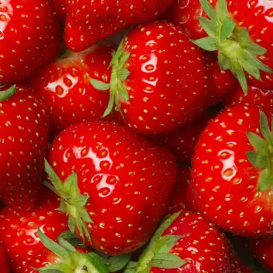 Profile image of 라더