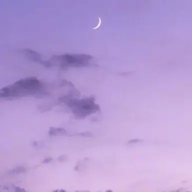 Profile image of 수현