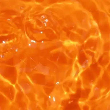 Profile image of 덕개