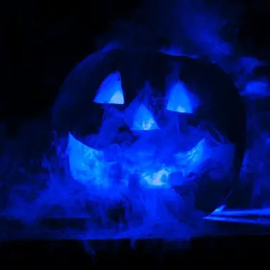 Profile image of 벨키