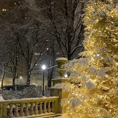 Profile image of 김준구