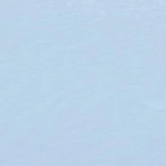 김동현