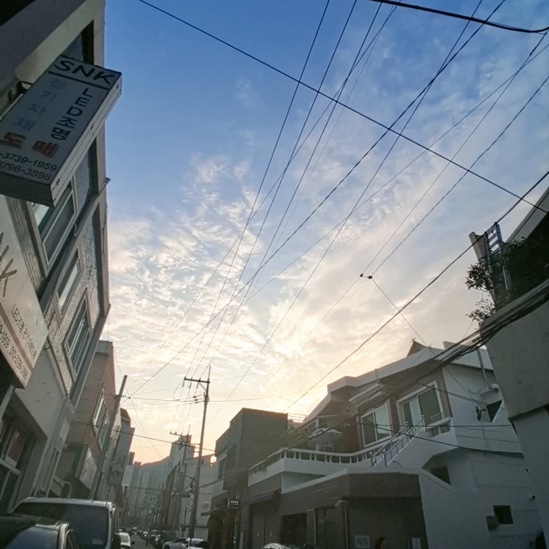 유기사