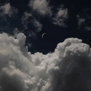 Profile image of ヨヌ