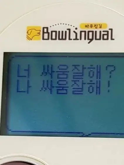 Oo_oOo-oo..의 Противоречие