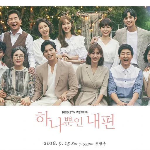 하나뿐인 내편