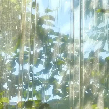 Profile image of 정공룡