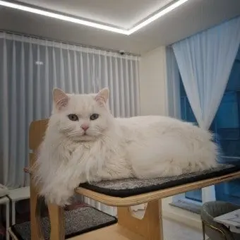 Profile image of 크림
