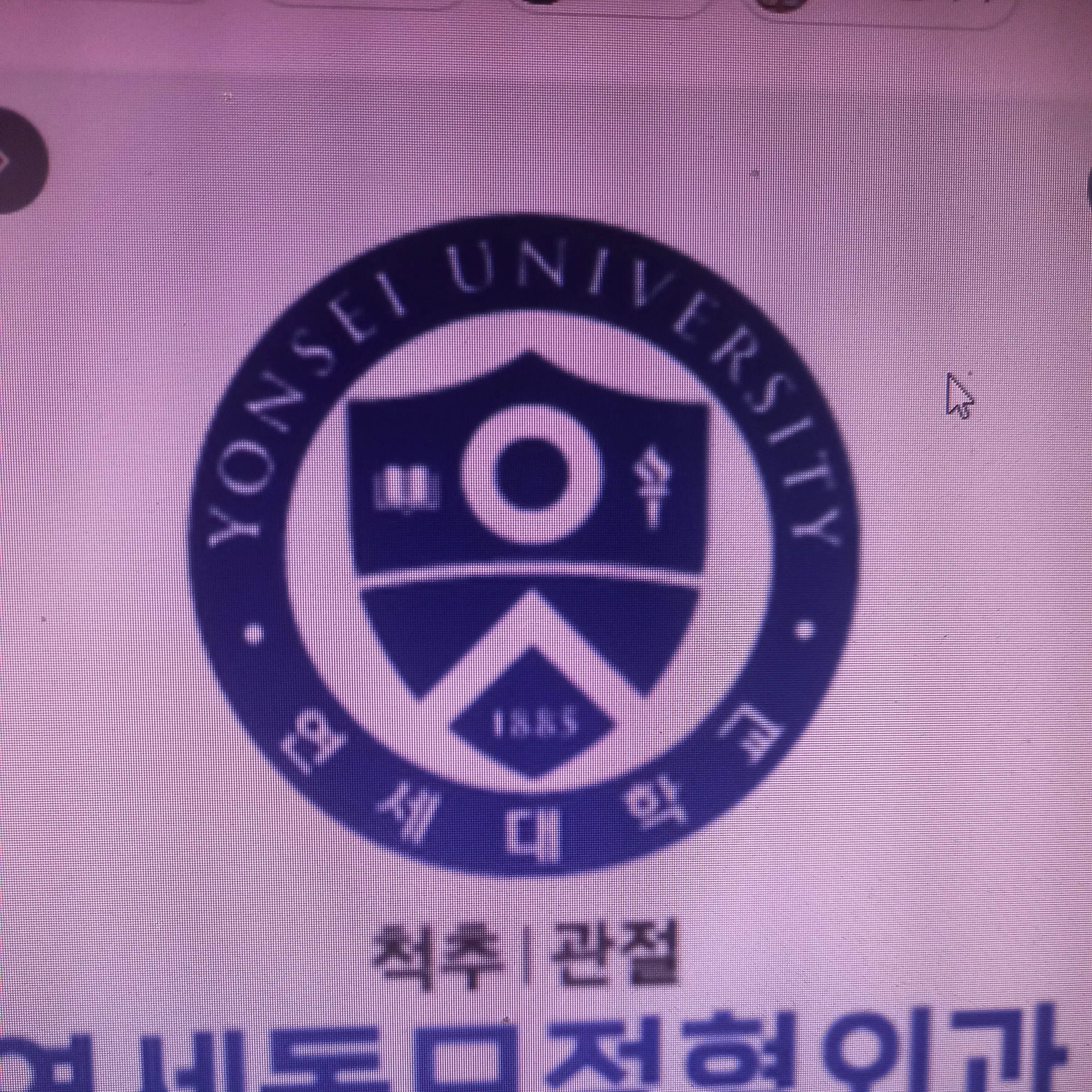ZestyApron3650의 연세대학교!