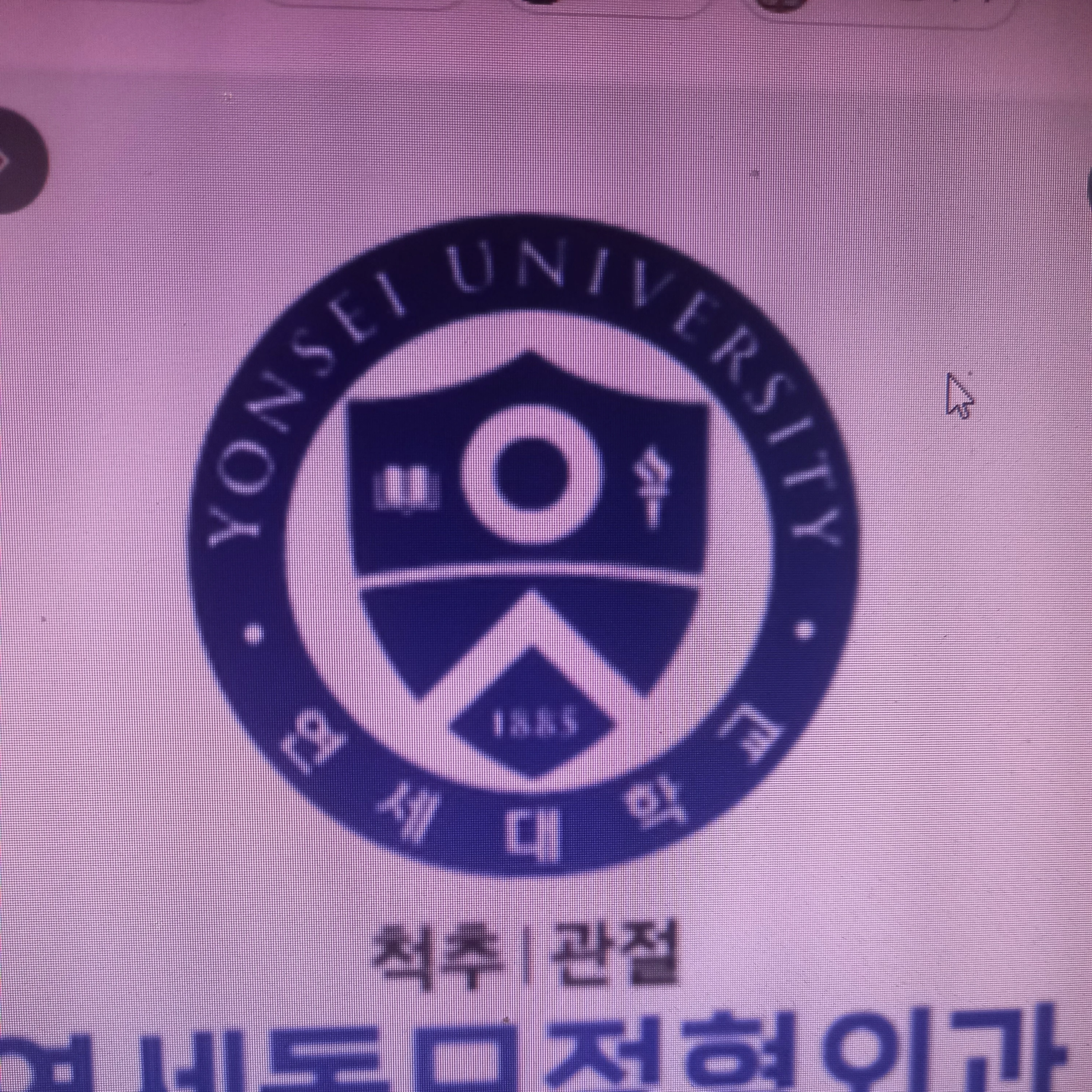 연세대학교