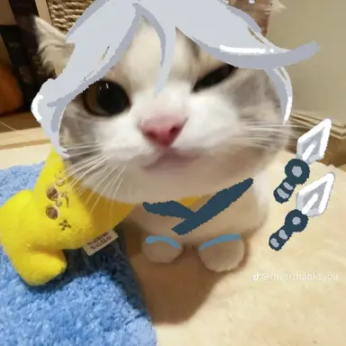 Profile image of 제트