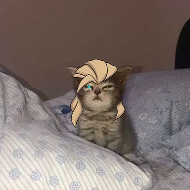 Profile image of 소바