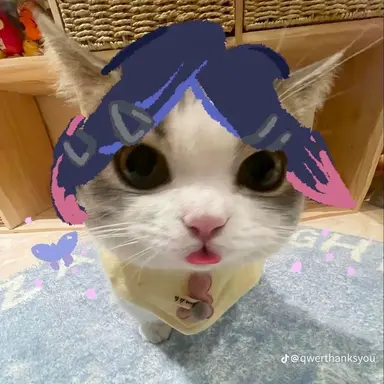 Profile image of 클로브