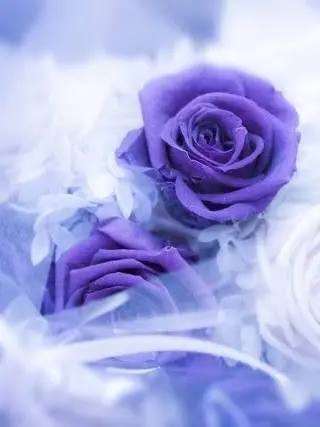 fuu_0917의 Beyond Affection