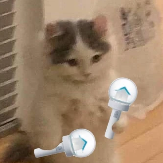 동민