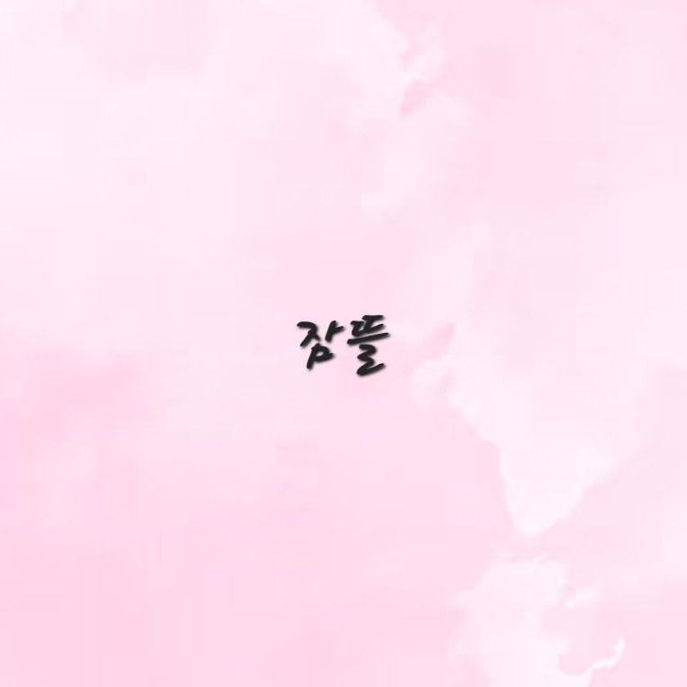 2p 뜰팁 조직 대표 이미지