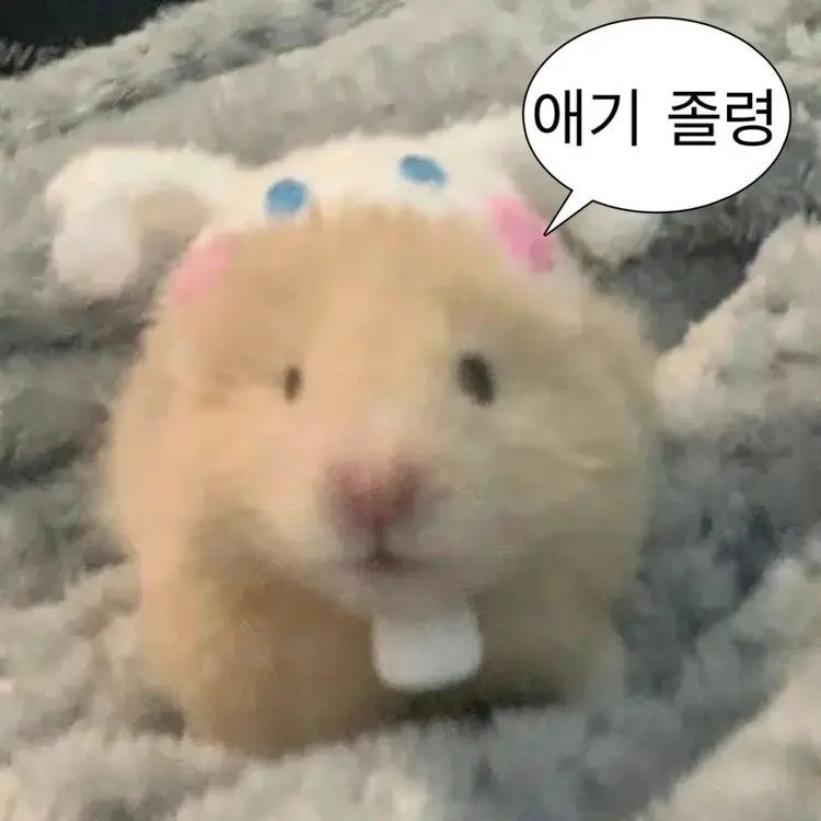FuzzyHoney2071의 준휘