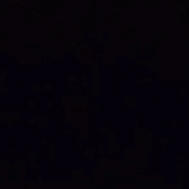 범규