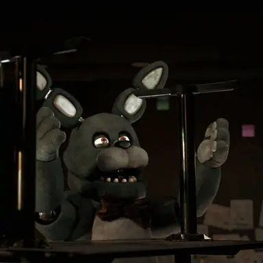 Profile image of Bonnie