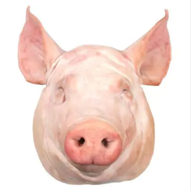 Profile image of 돼석