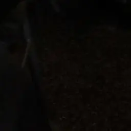 Profile image of 이리오