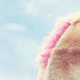 Profile image of 大森 元貴