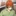 707