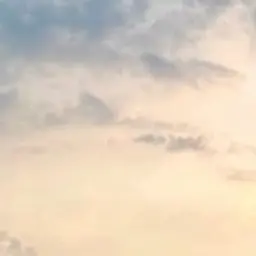 LOVEloveyy의 ㄱㅅㅇ