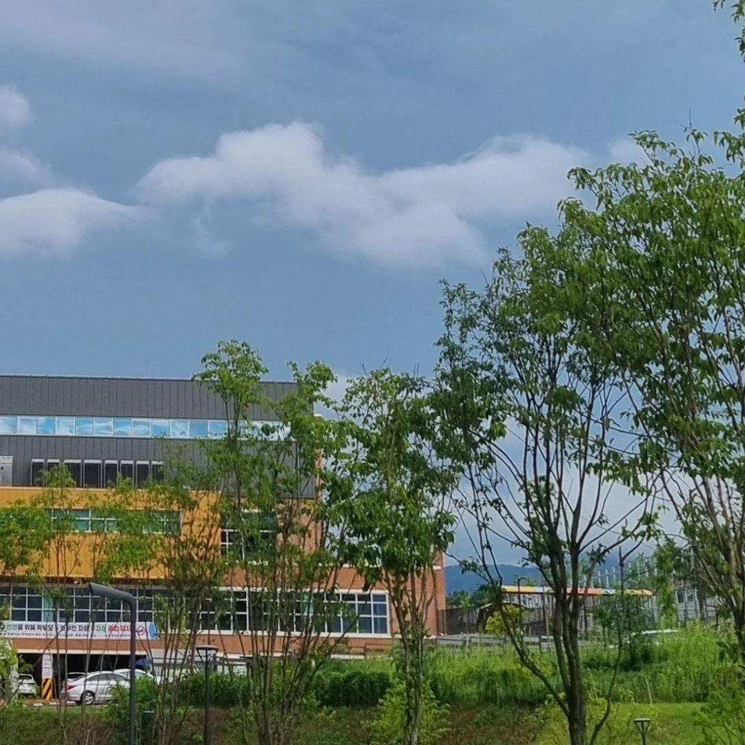 싸이코드