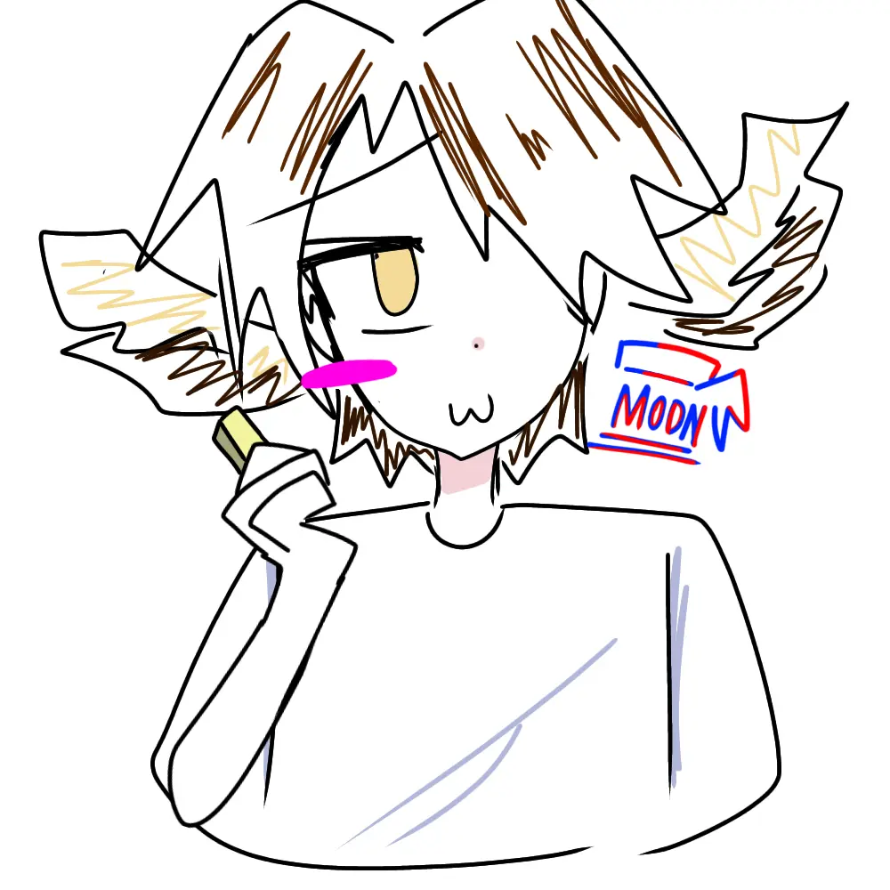 MOON_dayo의 シェドと箱詰め