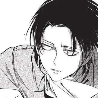 seoy_om14의 리바이 아커만