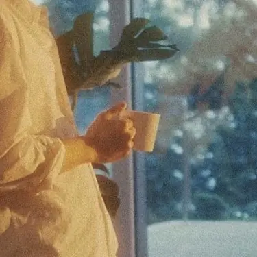 Profile image of M