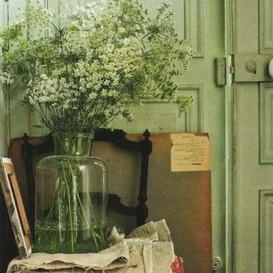 Profile image of 정형준