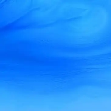 Profile image of 翔太