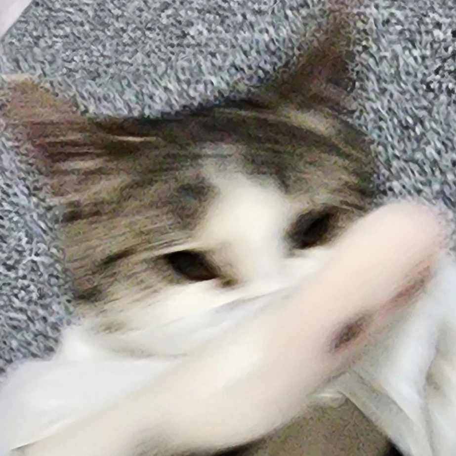 후추