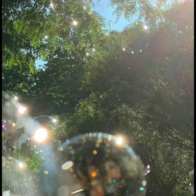 Profile image of 김미루