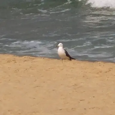 Profile image of 꽥꽥탐험대