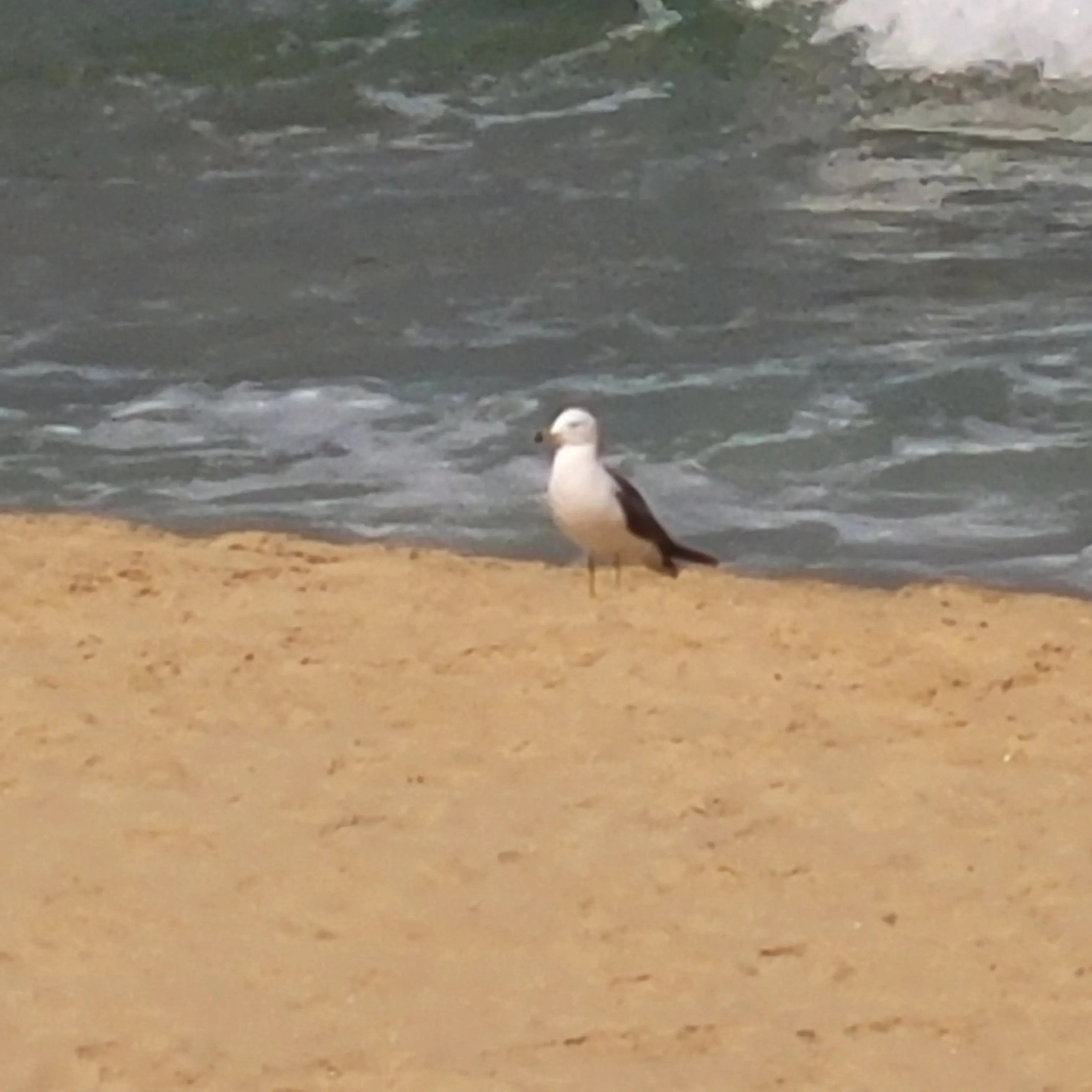 SleekHoop1597의 유튜버들의MT