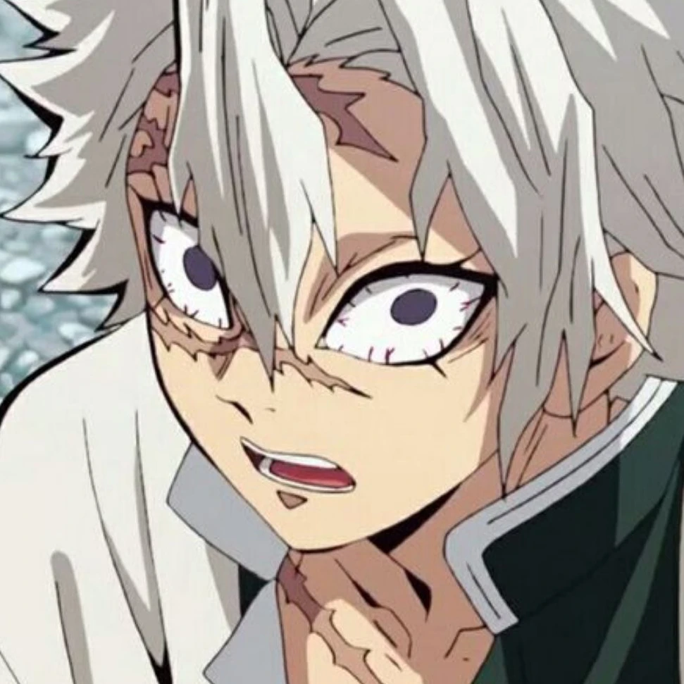 시나즈가와 사네미