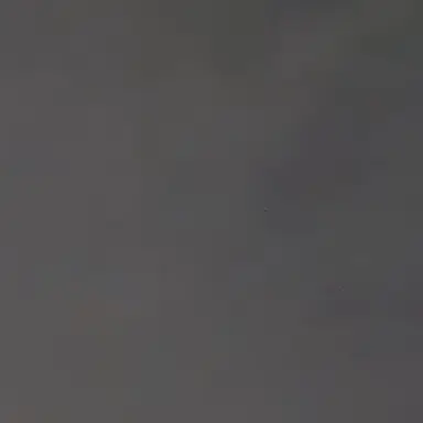Profile image of 유하