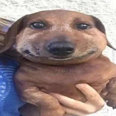 Profile image of 늑대